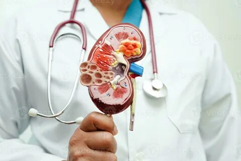 Влияние дефицита железа на анемию при хронических болезнях почек